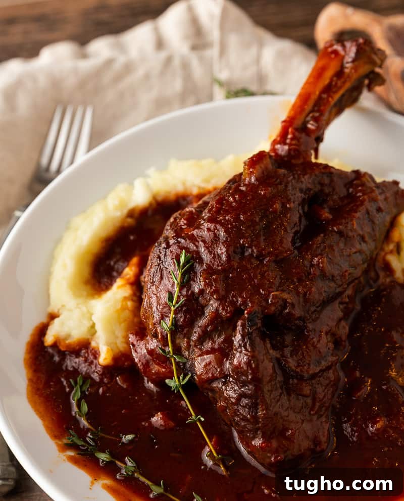 Lamb Shanks Braised in Red Wine 7 lamb shank for romantic dinner