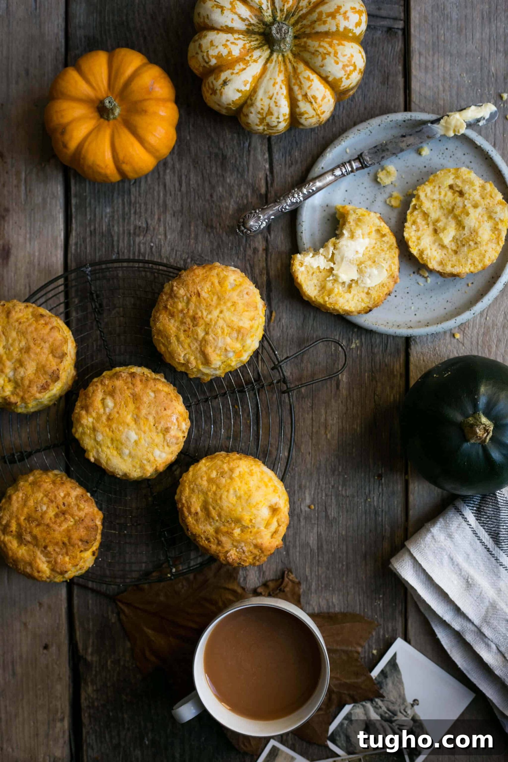 Savory Pumpkin Scones with Cheddar 2 Pumpkin Scones with cheese. Traditional classic with a modern twist!