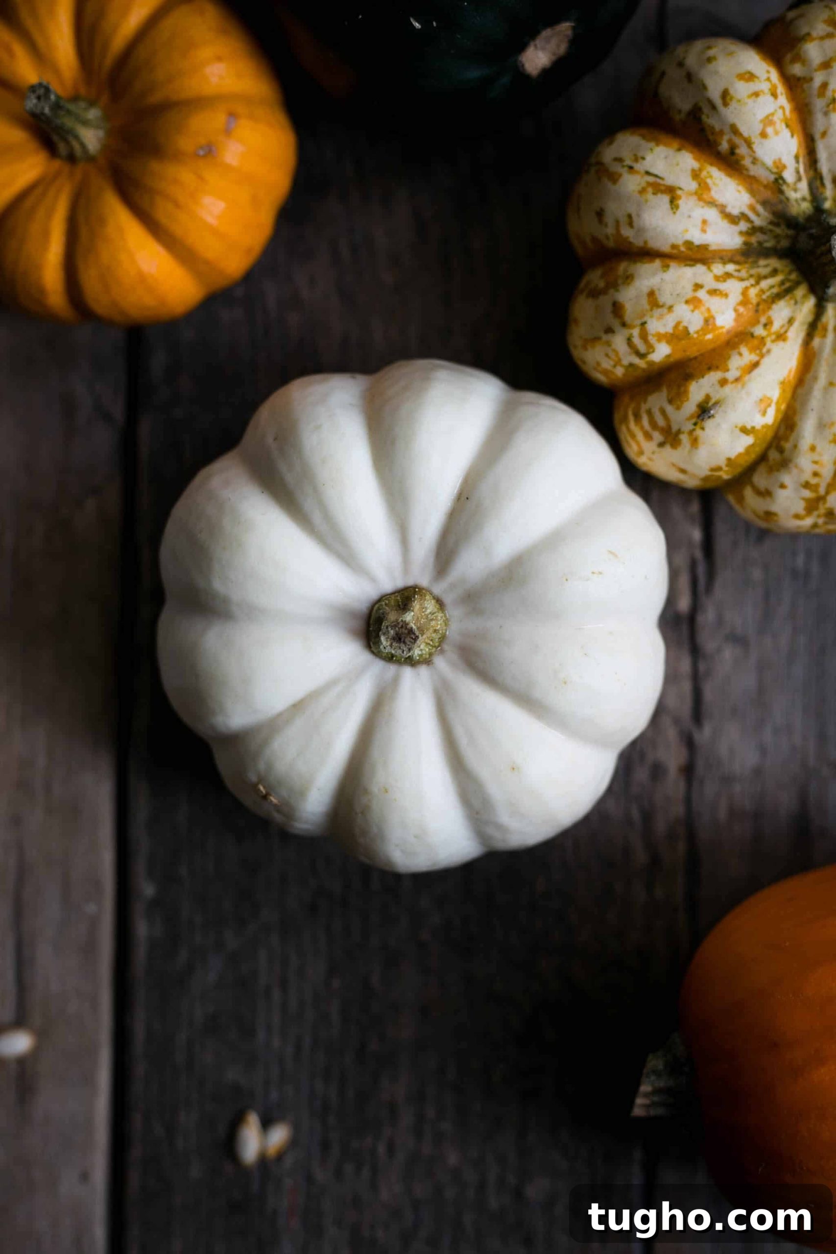 Savory Pumpkin Scones with Cheddar 3 Pumpkin Scones