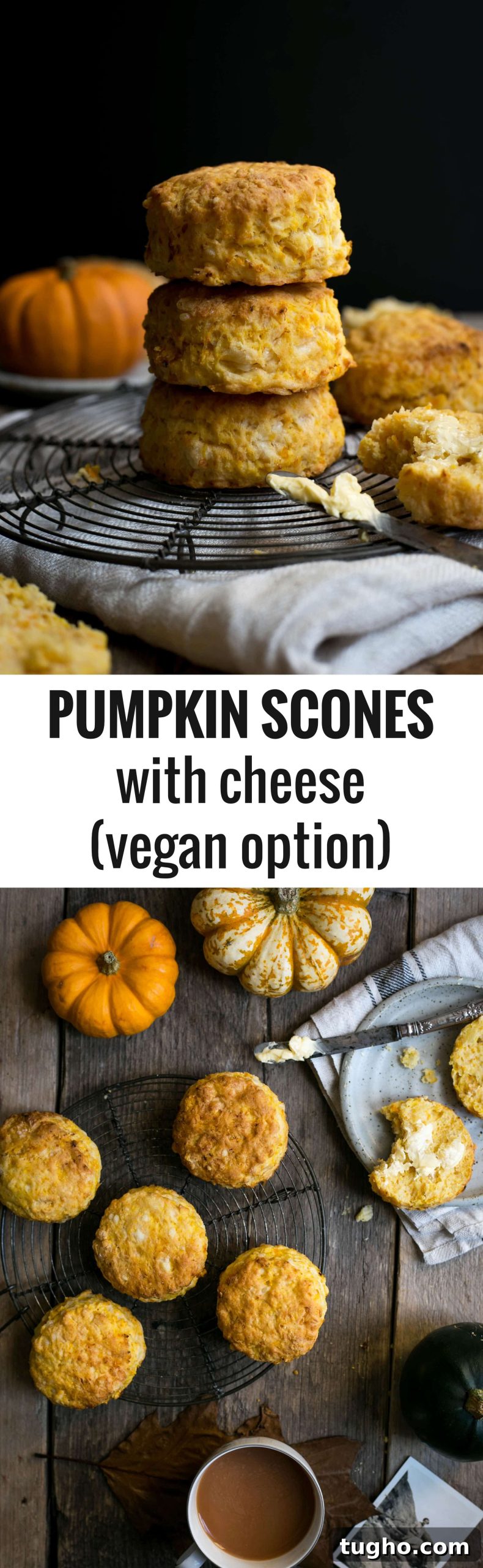 Savory Pumpkin Scones with Cheddar 8 Easy and delicious pumpkin scones with cheese