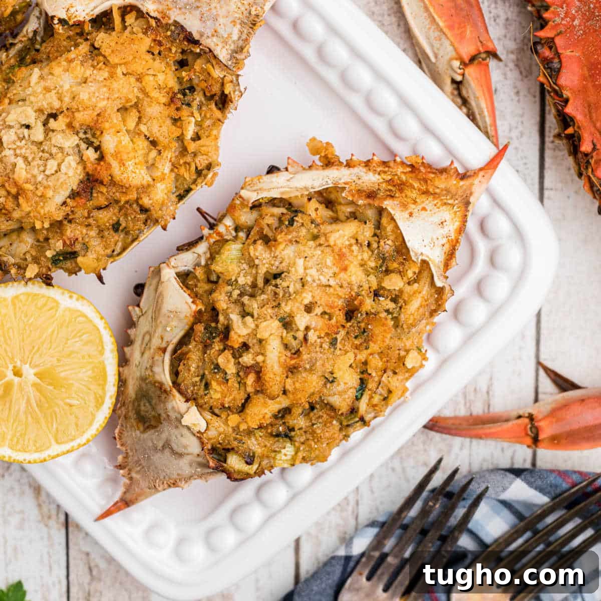 Close up of a stuffed crab with some boiled crabs on the outside.