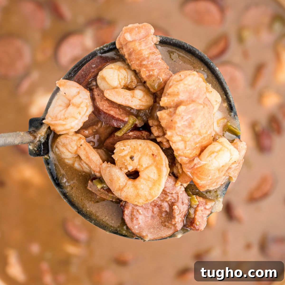 a ladle full of alligator gumbo - with shrimp alligator and sausage