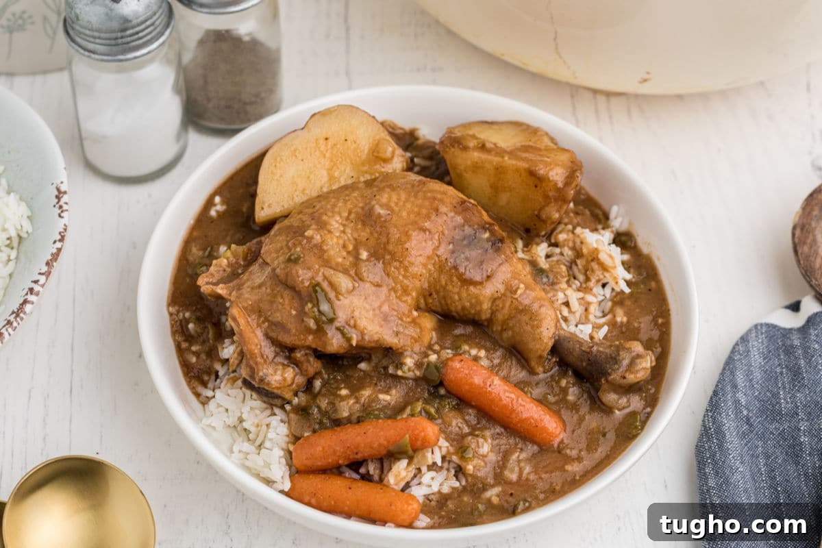 bowl of rice topped with chicken stew, whole leg with carrots and potatoes