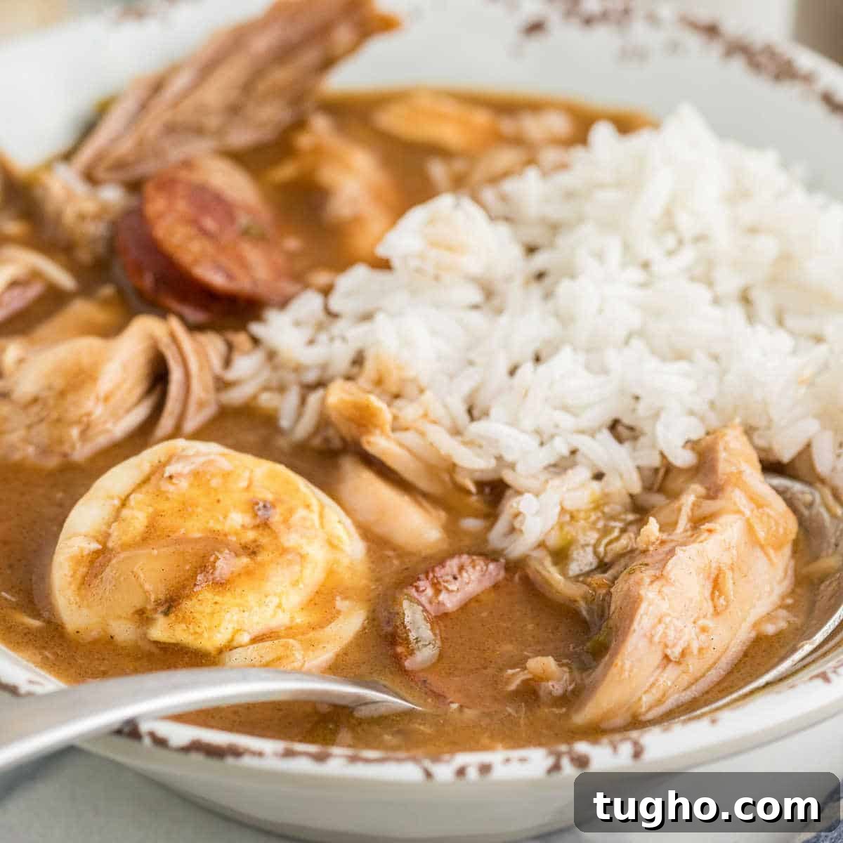 Close up of a bowl of leftover turkey with andouille and rice.