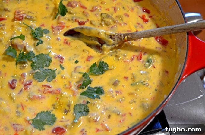Cheez-It Hot and Spicy Grooves with Tango Sausage Cheese Dip 8 A pan of cheese dip with wooden spoon