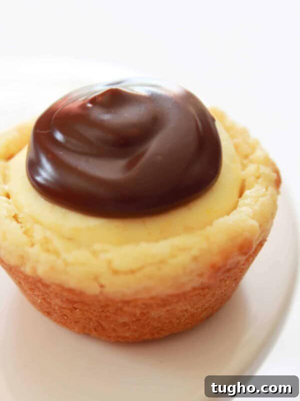 Lemon Bar Cookie Cups Recipe: Zesty Citrus Dessert Cups 6 Easy Boston Cream Pie Cookie Bites