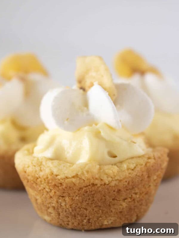 Lemon Bar Cookie Cups Recipe: Zesty Citrus Dessert Cups 7 Banana Pudding Cookie Cups